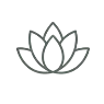 Icon Lotusblüte