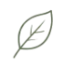 Icon Blatt